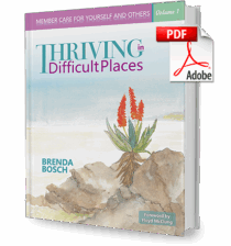 Thriving in Difficult Places – Volume 1 - Chapter 1 (Free E-Book)