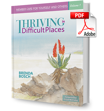 Thriving in Difficult Places – Volume 1 - Chapter 1 (Free E-Book)