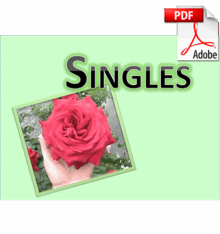 Single … But Not Sorry