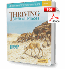 Thriving in Difficult Places – Volume 2 (E-Book)