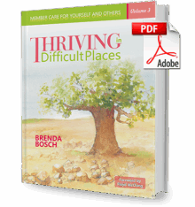 Thriving in Difficult Places – Volume 3 (E-Book)