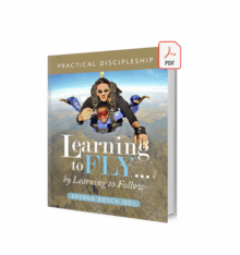 Learning to Fly (E-Book)