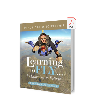 Learning to Fly (E-Book) (Testing)